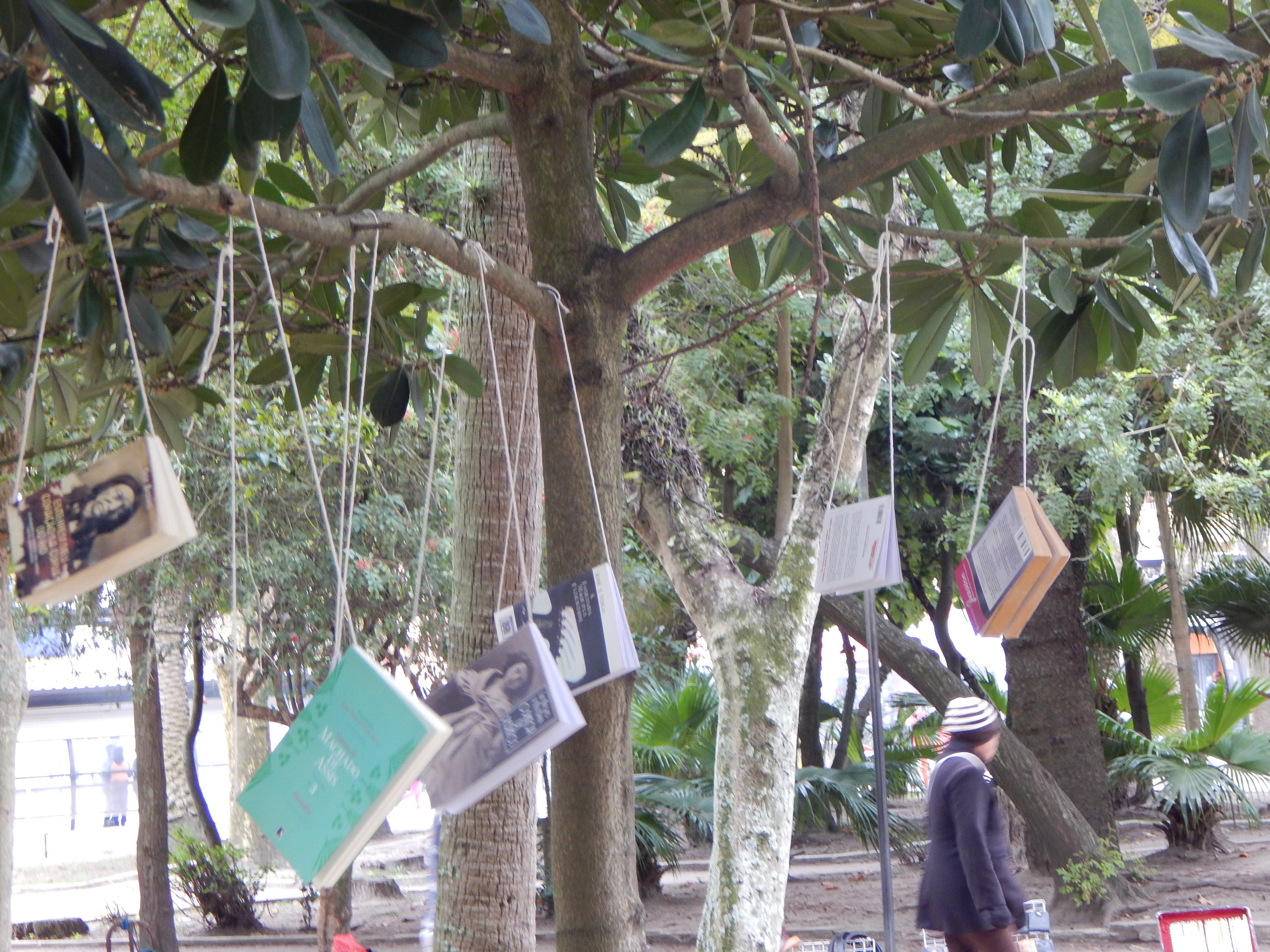 a imagem mostra livros pendurados por barbantes em galhos de árvores na praça tamandaré