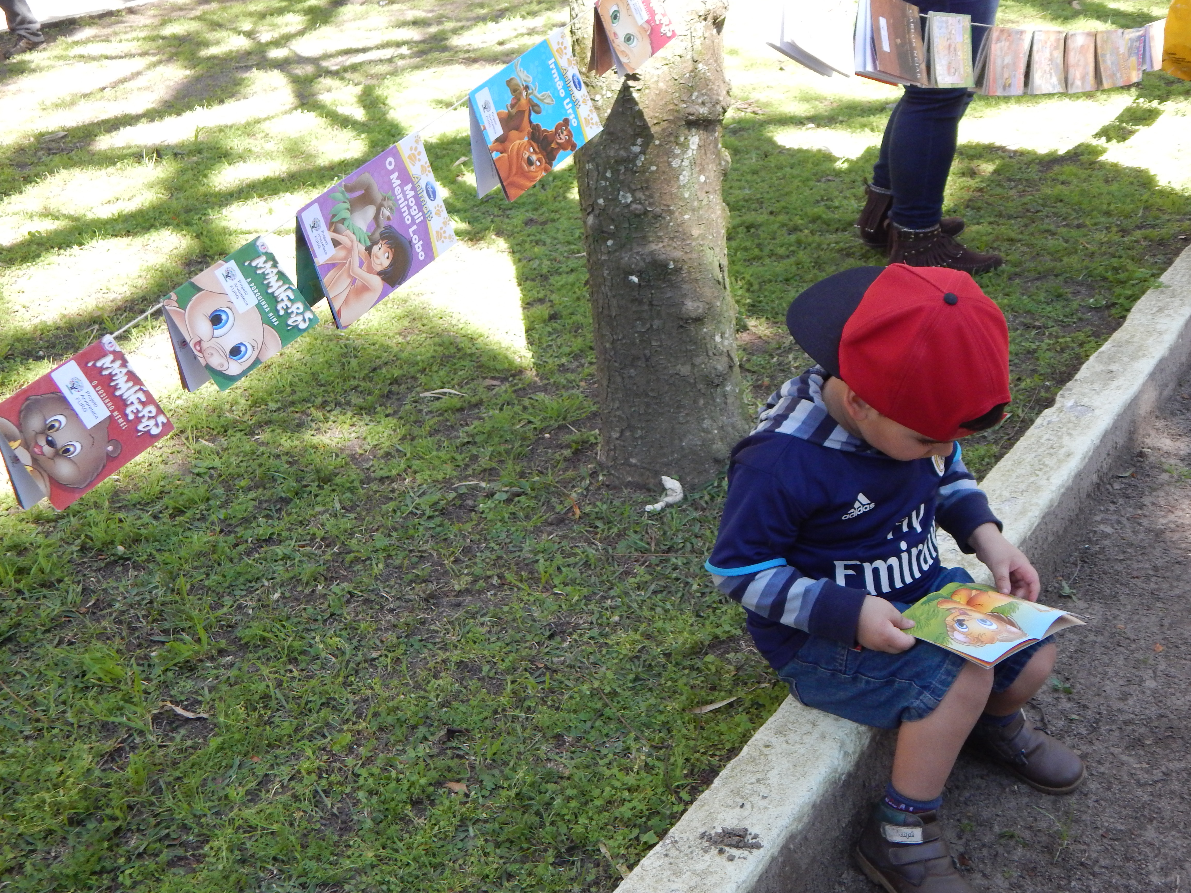 Criança sentada na praça tamandaré, lendo uma obra de literatura infantil do Projeto arvoreteca